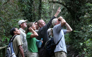 Image for: Jungle Nature Trails