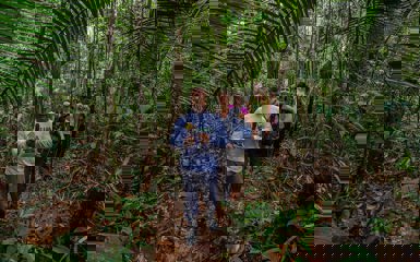 Image for: Jungle Nature Trails