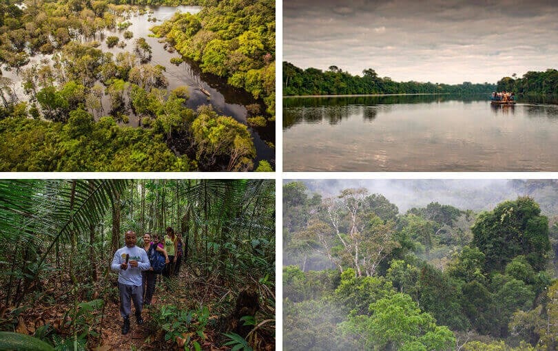 Amazon Ecoystems