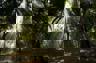 Bosque.jpg