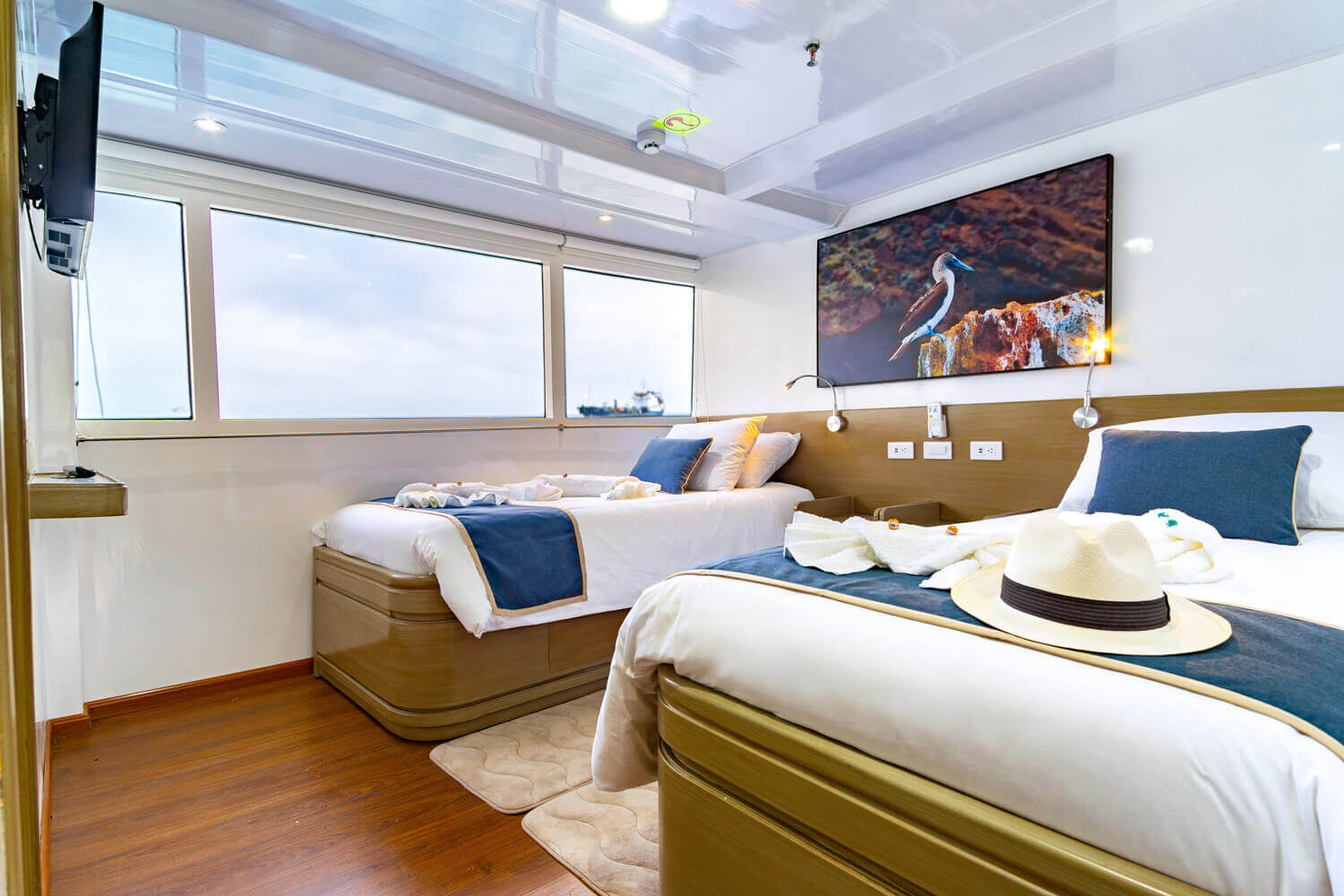 Twin or triple cabin 