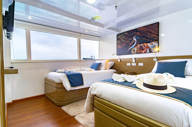 Twin or triple cabin 