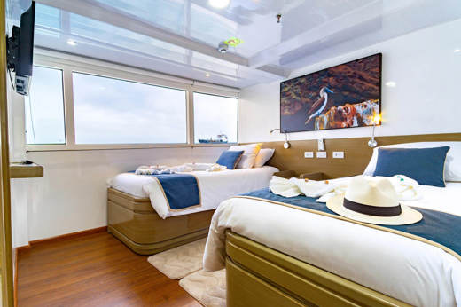 Twin or triple cabin 