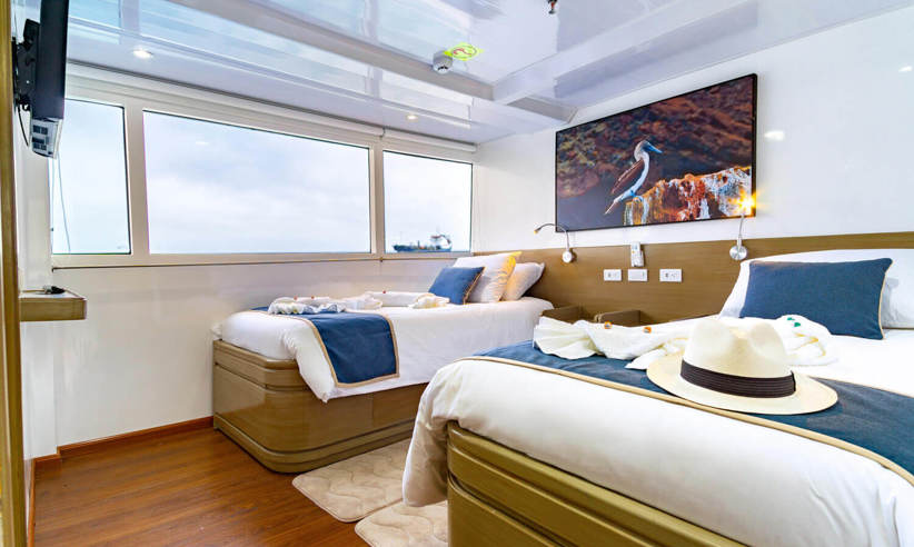 Twin or triple cabin 