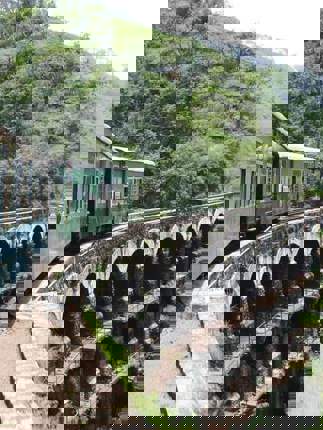 Shimla