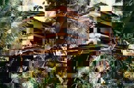 27518381143 A275a09965 C