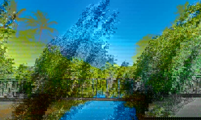 Gardens