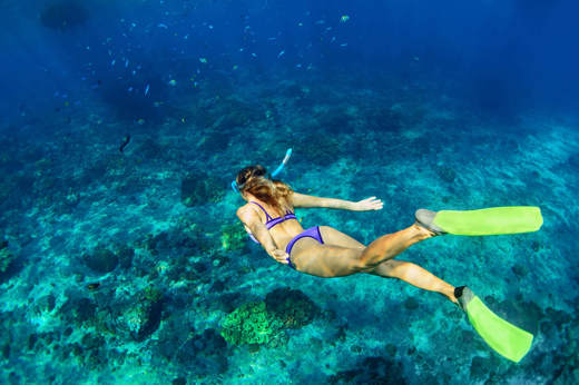 Snorkelling