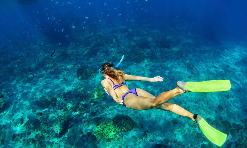 Snorkelling