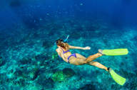 Snorkelling