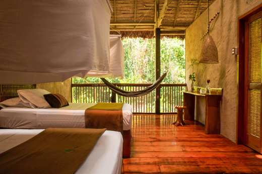 Your room in the rainforest 