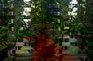 Walkway
