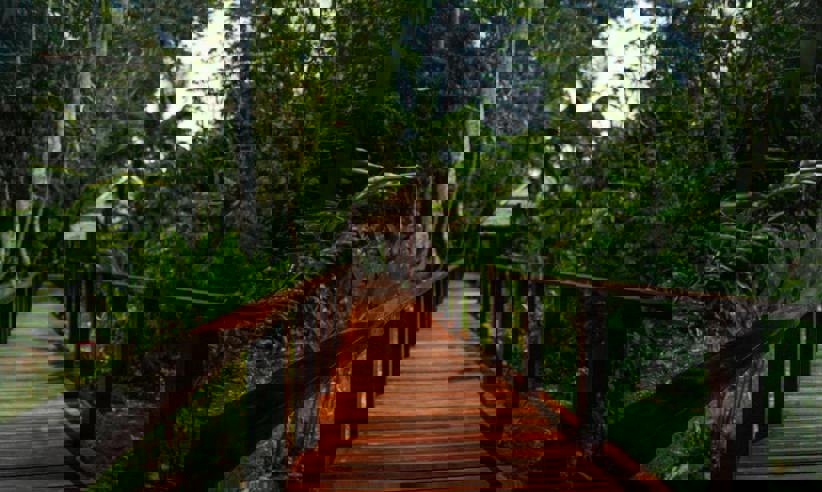 Walkway