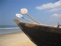 Goa Beach Bee