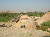 Hampi Bee2