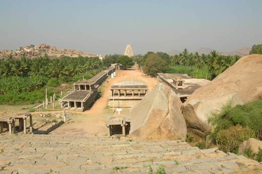 Hampi Bee2