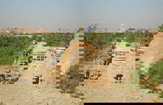 Hampi Bee2