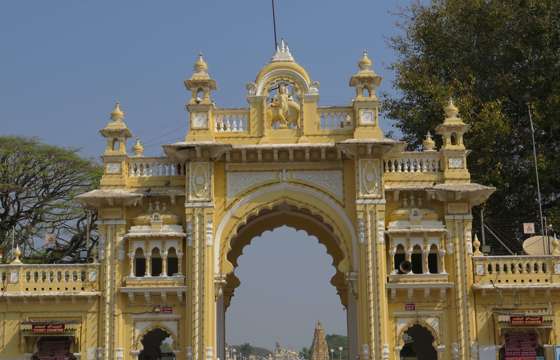 Delhi Bee