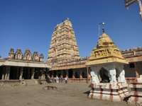 Hampi 7 Bee