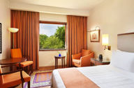 Premier Garden View Room