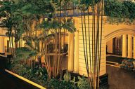 View Of Hotel