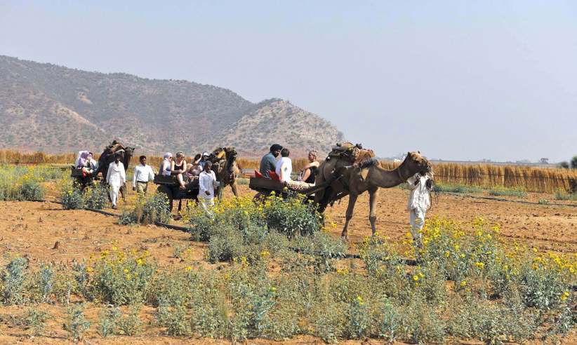 Gadoli