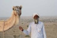 Desert Thar