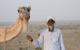Desert Thar