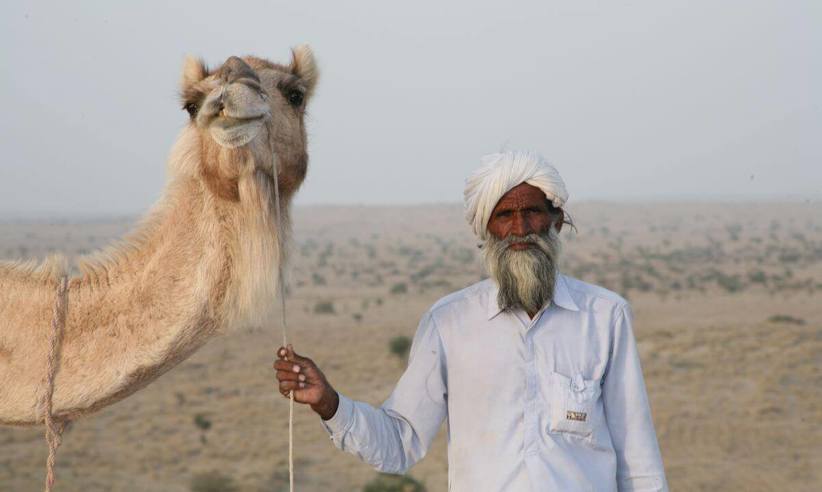 Desert Thar