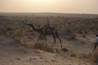 Camel Riding