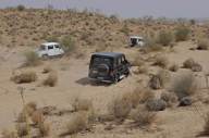 Dune Safari