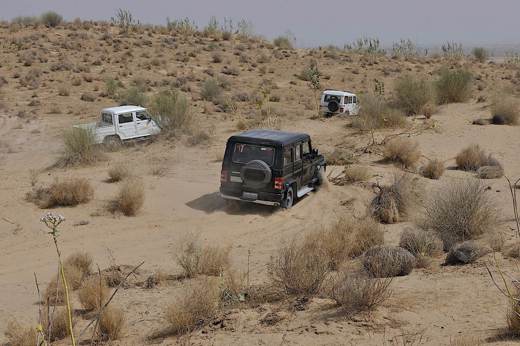 Dune Safari