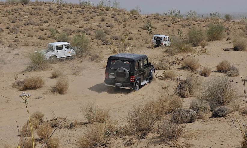Dune Safari