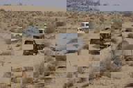Dune Safari