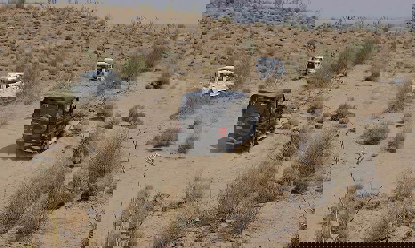 Dune Safari