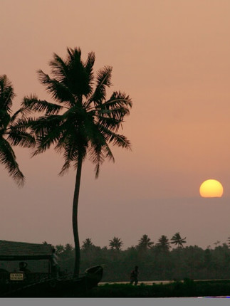 Kerala Backwaters 15 792X528