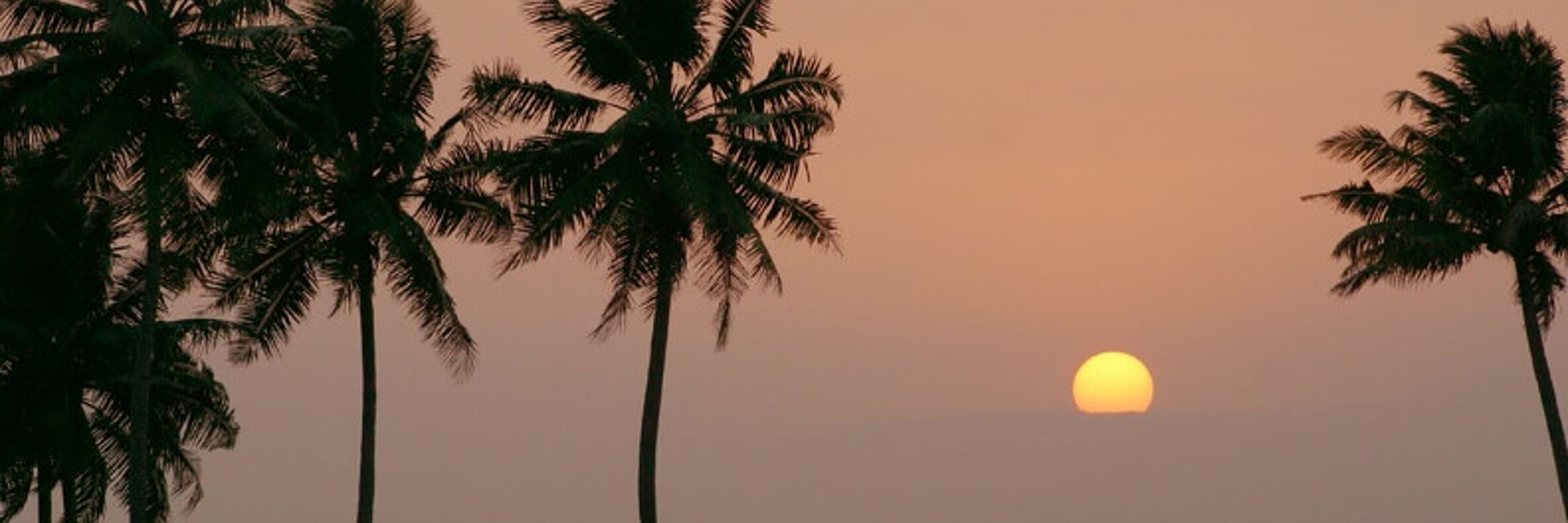 Kerala Backwaters 15 792X528