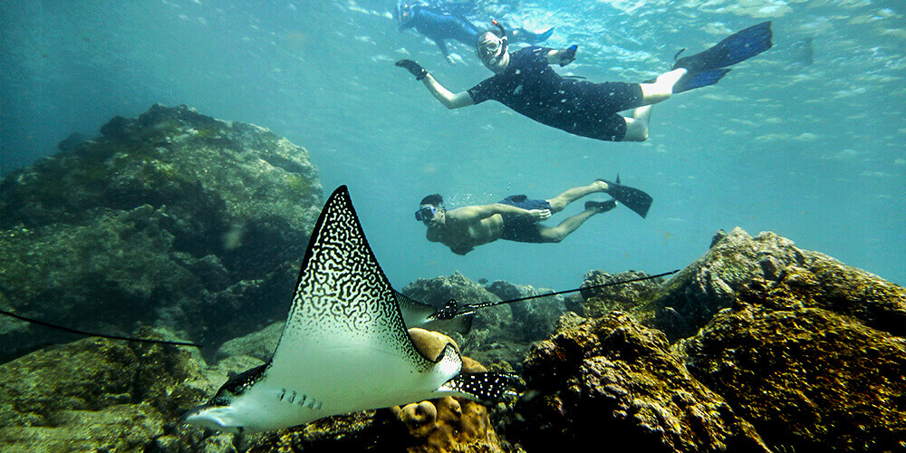 Underwater adventures