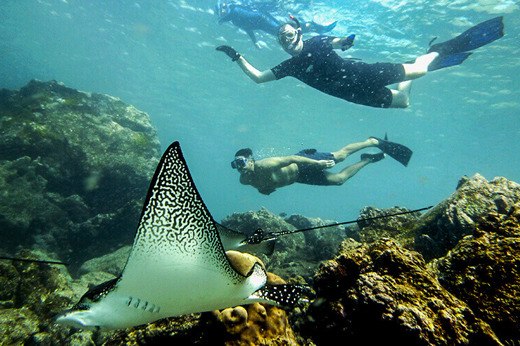 Underwater adventures