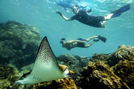 Underwater adventures