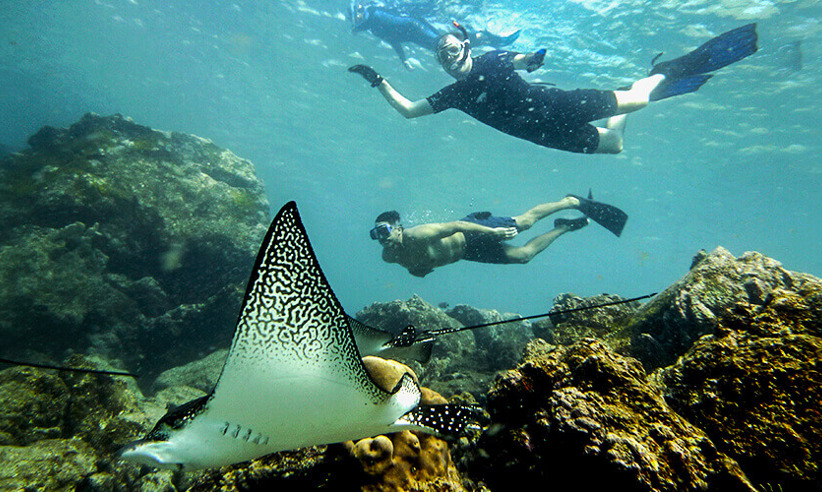 Underwater adventures
