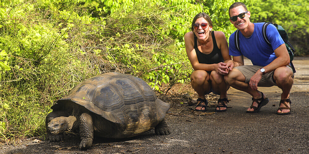 Enjoy daily excursions with expert naturalist guides