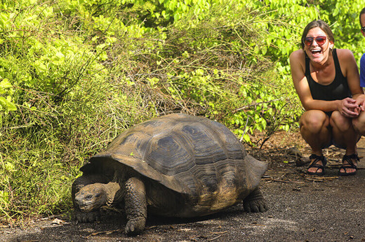 Enjoy daily excursions with expert naturalist guides
