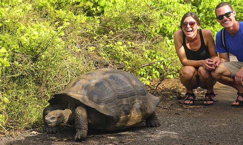 Enjoy daily excursions with expert naturalist guides