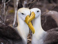 Love for life