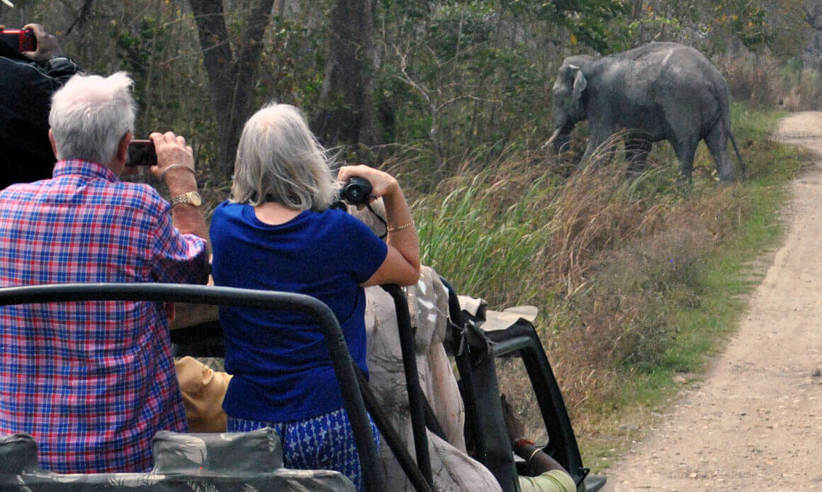 On safari in Kaziranga National Park