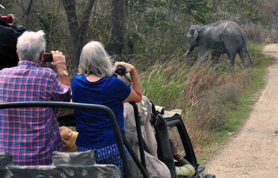 On safari in Kaziranga National Park