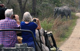 On safari in Kaziranga National Park
