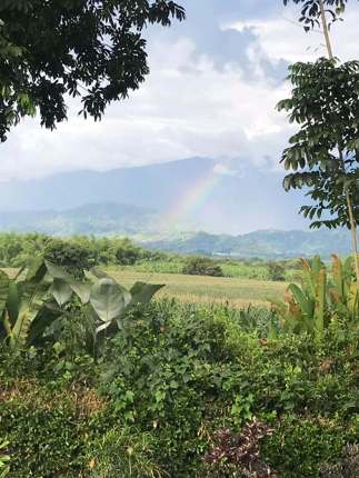 Coffee Region