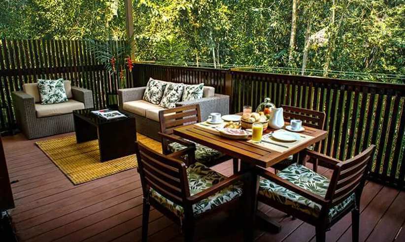 The terrace 